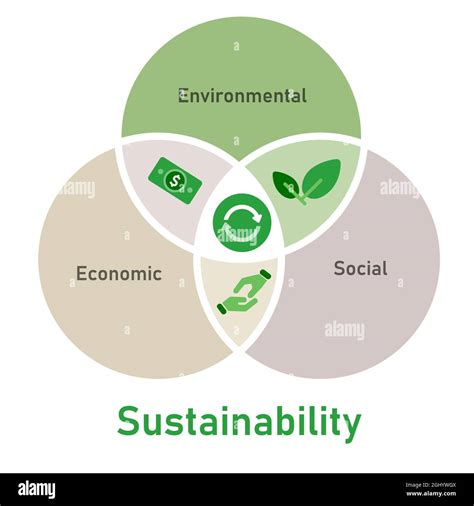 The social, economic, and environmental impacts of .